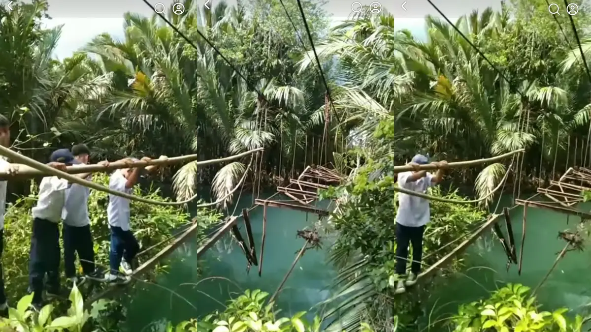 Berita Viral Hari Ini – Kabar Terbaru Terkini | Liputan6.com